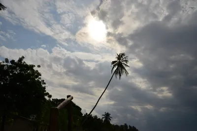 DSC_5482 (Large).JPG